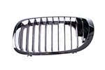 Grille BMW 3 (E46) COUPE, 99 - 06, Left Cars245 PBM07034GBL