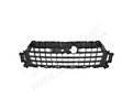 Grille Support Cars245 PAD99049CA