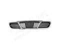 Grille Cars245 PDW07007GA