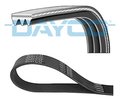 V-Ribbed Belt DAYCO 3PK806EE