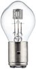 Bulb, headlight HELLA 8GD002084-251
