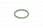 Seal Ring, charge air hose IBRAS 27235