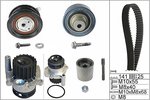 Water Pump & Timing Belt Kit INA 530036132