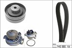 Water Pump & Timing Belt Kit INA 530015630