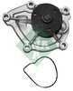 Water Pump, engine cooling INA 538046610