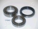 Wheel Bearing Kit JAPANPARTS KK11003