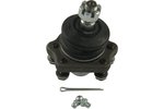 Ball Joint KAVO PARTS SBJ-6515