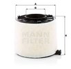 Air Filter MANN-FILTER C17011