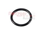 Seal Ring, coolant pipe METZGER 4010508