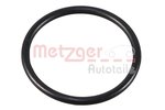Seal Ring, coolant pipe METZGER 4010509