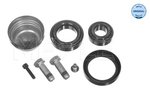 Wheel Bearing Kit MEYLE 0140330100