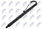 Gas Spring, boot-/cargo area NTY AE-VW-108