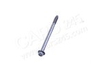 Screw With Base PEUGEOT 162793