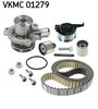 Water Pump & Timing Belt Kit skf VKMC01279