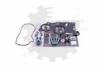 Repair Set, vacuum pump (braking system) SKV Germany 18SKV803