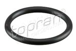 Sealing Ring, coolant line TOPRAN 113948