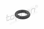 Seal Ring, injector TOPRAN 117414