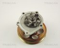 Water Pump, engine cooling TRISCAN 860013010