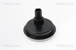 Sensor, wheel speed TRISCAN 818013202
