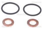 Seal Kit, injector nozzle TRISCAN 596-1005