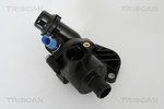 Thermostat, coolant TRISCAN 8620221100