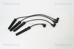 Ignition Cable Kit TRISCAN 886024014