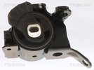Mounting, engine TRISCAN 850550100