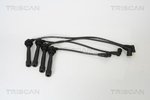 Ignition Cable Kit TRISCAN 886043005