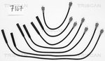 Ignition Cable Kit TRISCAN 88607167