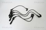 Ignition Cable Kit TRISCAN 886024001