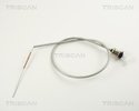 Accelerator Cable TRISCAN 814025307