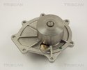 Water Pump, engine cooling TRISCAN 860017009
