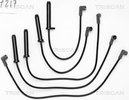 Ignition Cable Kit TRISCAN 88607217