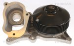 Water Pump, engine cooling TRISCAN 860011060