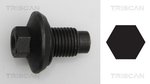 Screw Plug, oil sump TRISCAN 95001009