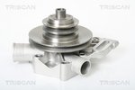 Water Pump, engine cooling TRISCAN 860010410