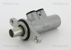 Brake Master Cylinder TRISCAN 813028148
