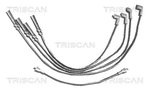 Ignition Cable Kit TRISCAN 88604027