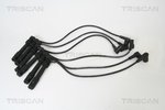 Ignition Cable Kit TRISCAN 886029007