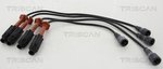 Ignition Cable Kit TRISCAN 886023009