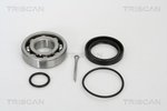 Wheel Bearing Kit TRISCAN 853029204