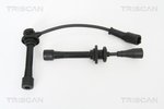 Ignition Cable Kit TRISCAN 886018003