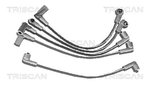 Ignition Cable Kit TRISCAN 88604011