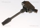 Ignition Coil TRISCAN 886013041