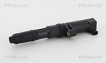 Ignition Coil TRISCAN 886025004