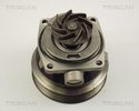 Water Pump, engine cooling TRISCAN 860010006