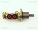 Brake Master Cylinder TRISCAN 813029103