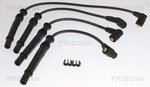 Ignition Cable Kit TRISCAN 886025026