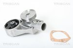 Water Pump, engine cooling TRISCAN 860067001