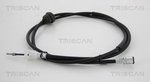 Speedometer Cable TRISCAN 814025408